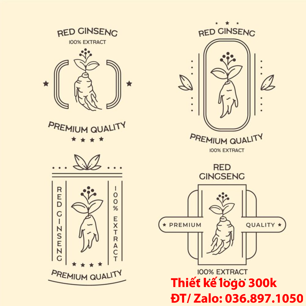 Thiet Ke Logo Dong Y (13)